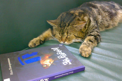 Кубанского кота устроили на работу в библиотеку